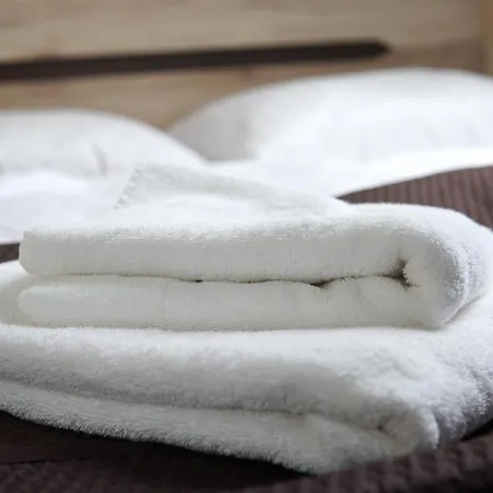 Apartamenty Caloroczne Lesny Zakatek Dziemiany