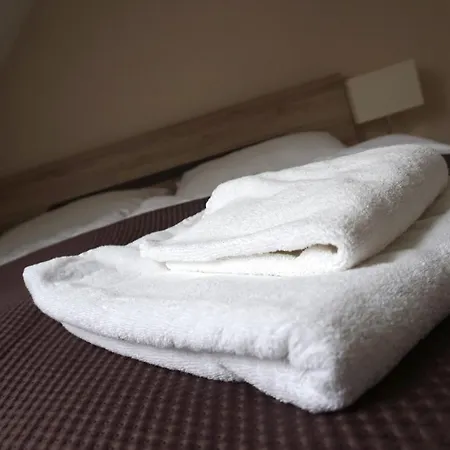 Apartamenty Caloroczne Lesny Zakatek *