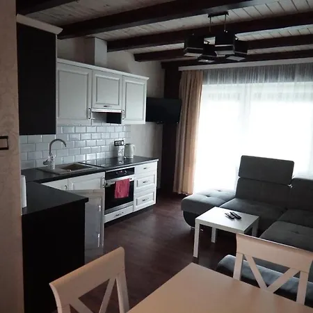 Apartamenty Caloroczne Lesny Zakatek * Dziemiany